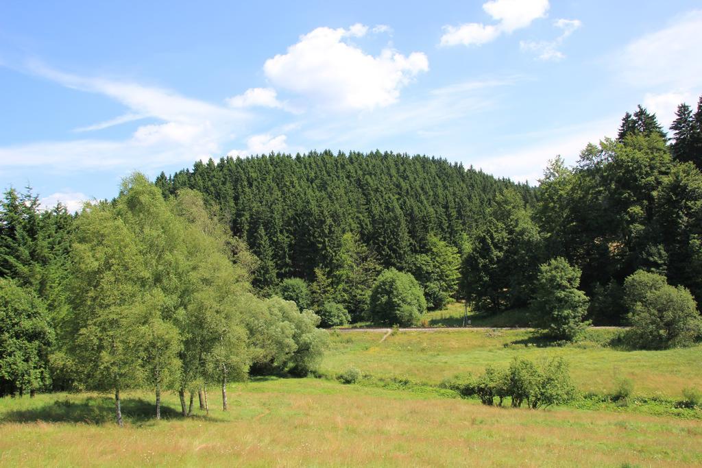 Gasthof 'Zum Reifberg' Ilmenau Exterior foto